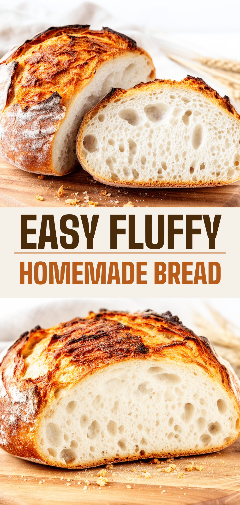 Beginner-Friendly Homemade Sourdough Bread Recipe Easy Step-by-Step Guide 5 beginner-friendly homemade sourdough bread recipe