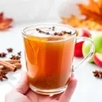 fall spiced apple cider - featured image