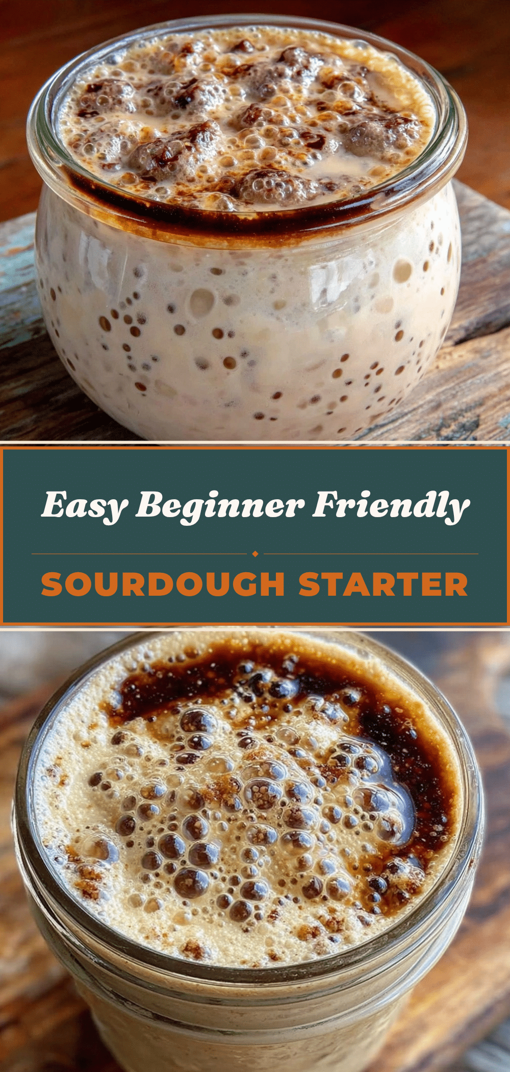 Beginner Friendly Sourdough Starter: The 3-Step Foolproof Recipe 5 beginner friendly sourdough starter recipe