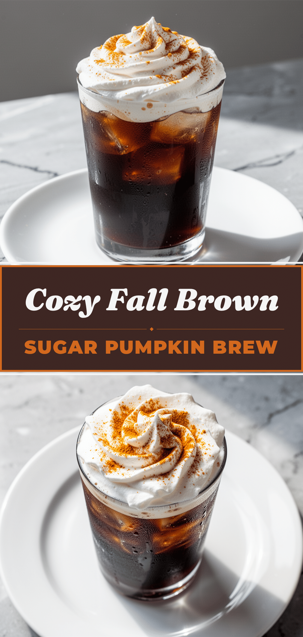 Fall Brown Sugar Pumpkin Cold Brew: 10 Easy Fall Morning Drinks 5 fall brown sugar pumpkin cold brew recipe
