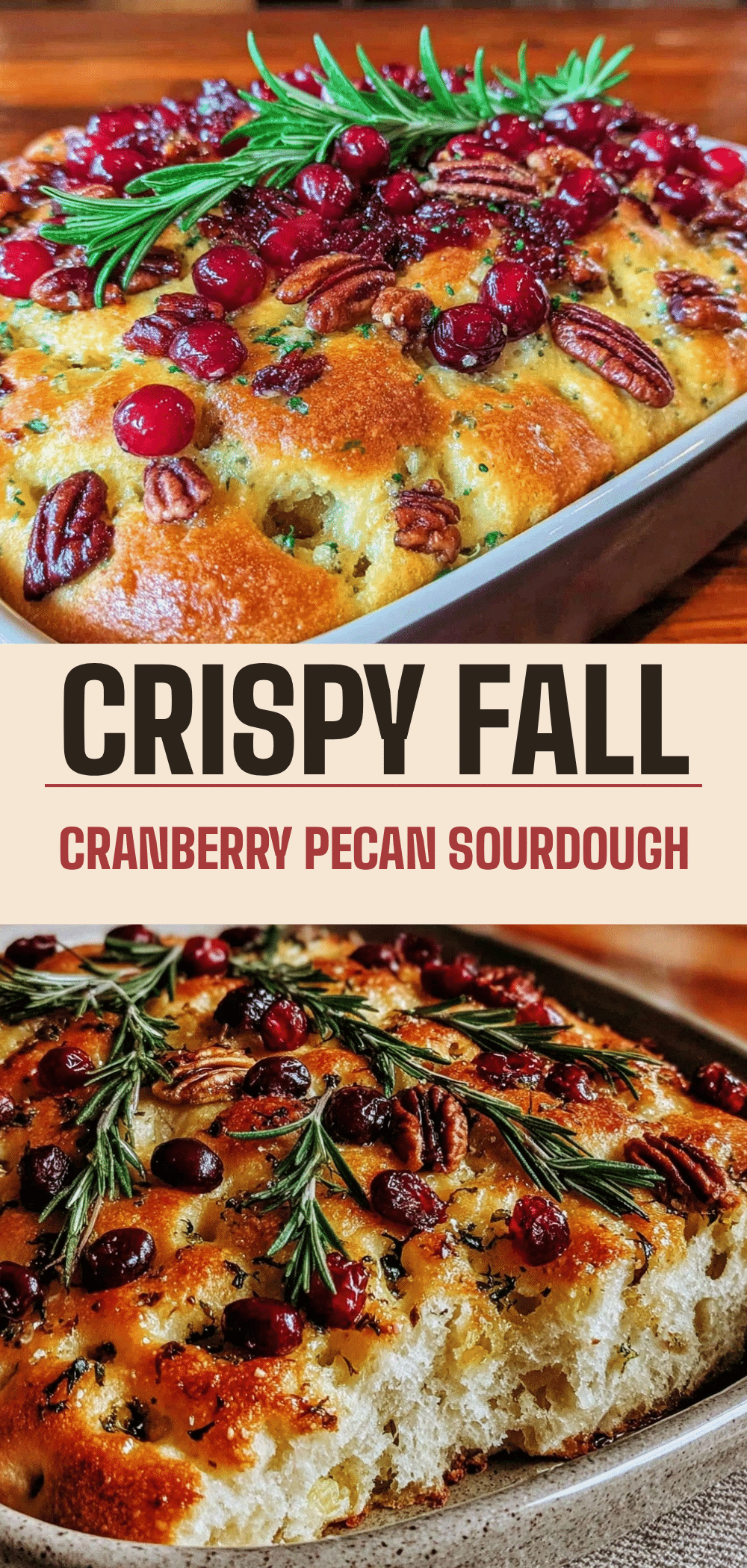 Fall Cranberry Pecan Sourdough Focaccia: Easy Small Batch Recipe 5 fall cranberry pecan sourdough focaccia recipe