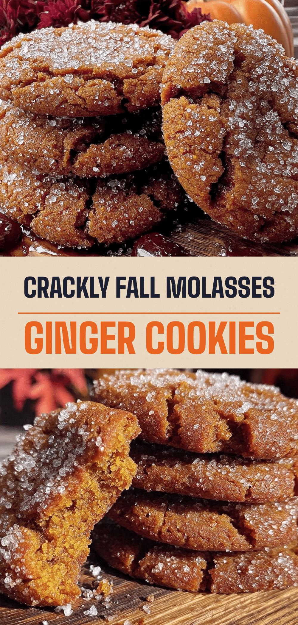 Fall Molasses Ginger Cookies: Best Outdoor Smoker Cookies 5 fall molasses ginger cookies recipe